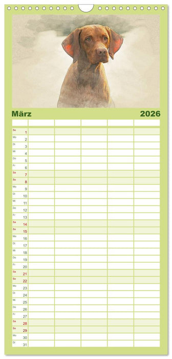 Magyar Vizsla 2026 (CALVENDO Familienplaner 2026)