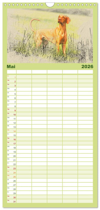 Magyar Vizsla 2026 (CALVENDO Familienplaner 2026)