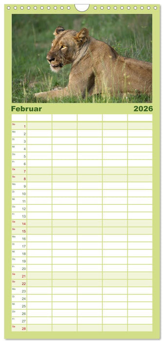 Abenteuer Afrika - Im Paradies der Tiere (CALVENDO Familienplaner 2026)