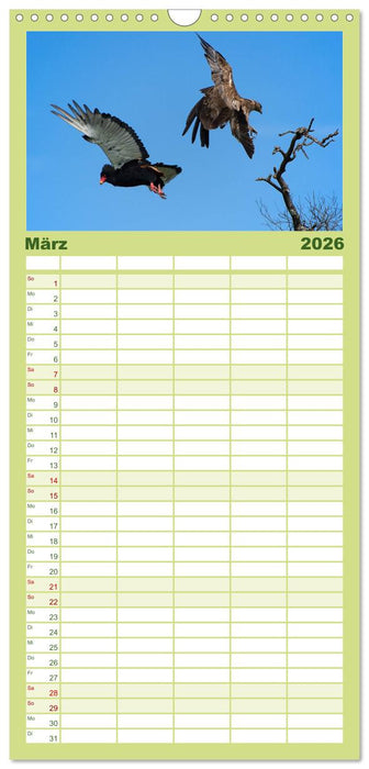 Abenteuer Afrika - Im Paradies der Tiere (CALVENDO Familienplaner 2026)