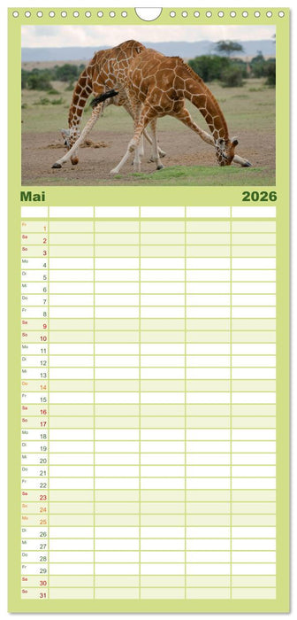 Abenteuer Afrika - Im Paradies der Tiere (CALVENDO Familienplaner 2026)