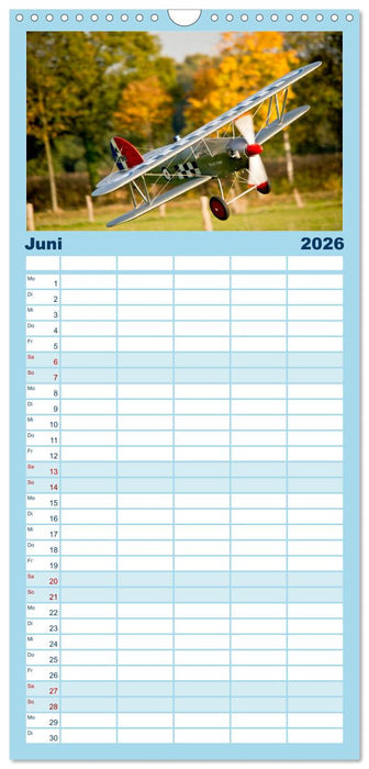 Modellflieger (CALVENDO Familienplaner 2026)