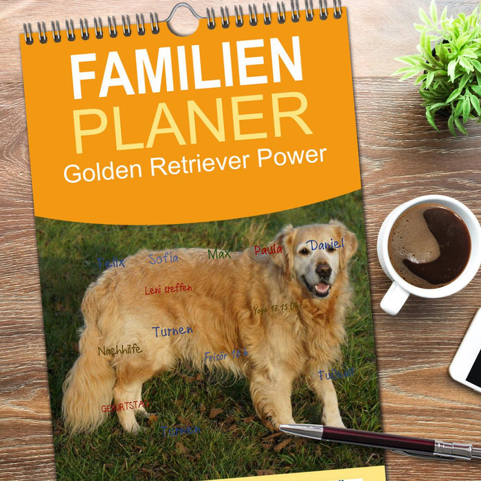 Golden Retriever Power (CALVENDO Familienplaner 2026)