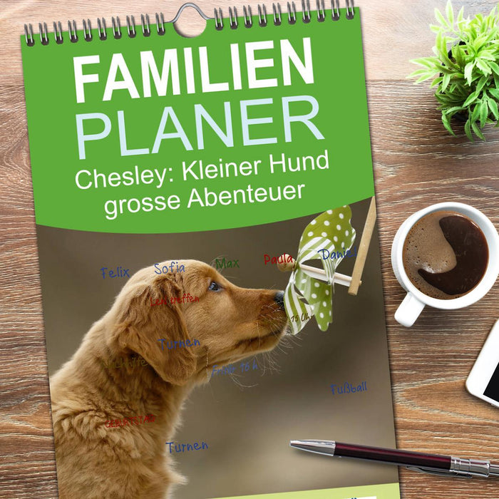 Chesley Kleiner Hund grosse Abenteuer (CALVENDO Familienplaner 2026)