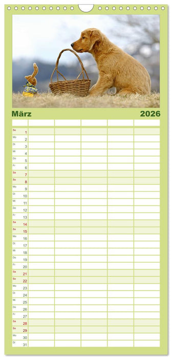 Chesley Kleiner Hund grosse Abenteuer (CALVENDO Familienplaner 2026)