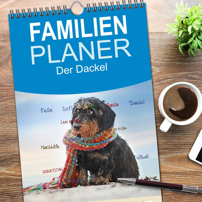 Der Dackel (CALVENDO Familienplaner 2026)