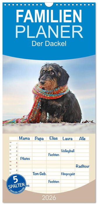 Der Dackel (CALVENDO Familienplaner 2026)
