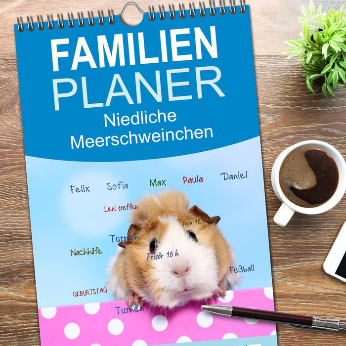 Niedliche Meerschweinchen (CALVENDO Familienplaner 2026)