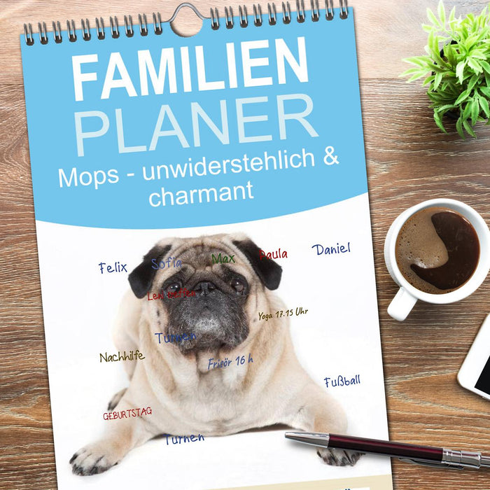 Mops - unwiderstehlich und charmant (CALVENDO Familienplaner 2026)