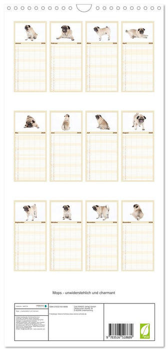 Mops - unwiderstehlich und charmant (CALVENDO Familienplaner 2026)