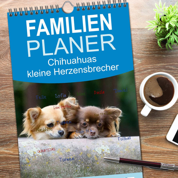 Chihuahuas - kleine Herzensbrecher (CALVENDO Familienplaner 2026)