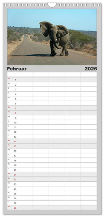 Südafrika (CALVENDO Familienplaner 2026)