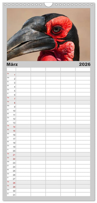 Südafrika (CALVENDO Familienplaner 2026)