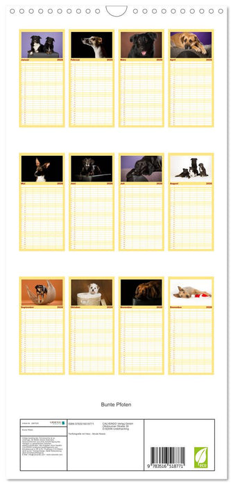 Bunte Pfoten (CALVENDO Familienplaner 2026)