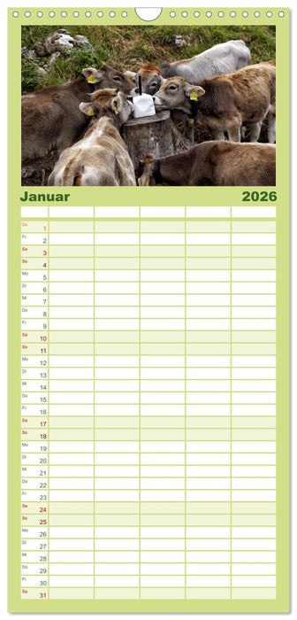 Allgäu - Natur pur (CALVENDO Familienplaner 2026)