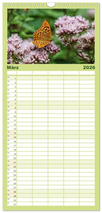 Allgäu - Natur pur (CALVENDO Familienplaner 2026)