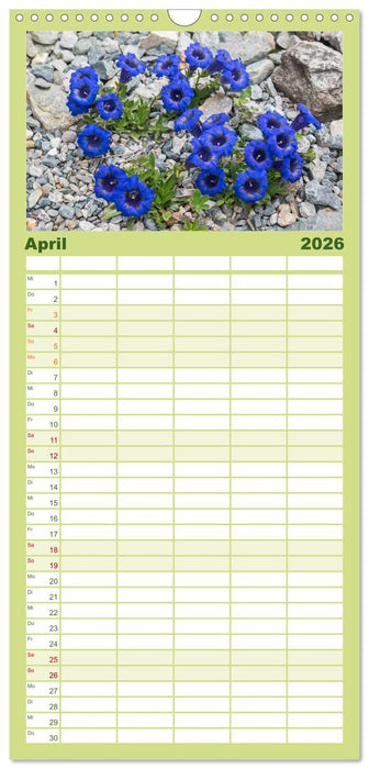 Allgäu - Natur pur (CALVENDO Familienplaner 2026)