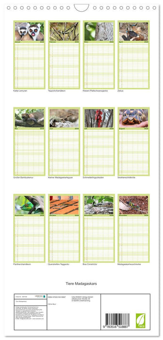 Tiere Madagaskars (CALVENDO Familienplaner 2026)