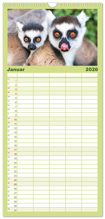 Tiere Madagaskars (CALVENDO Familienplaner 2026)