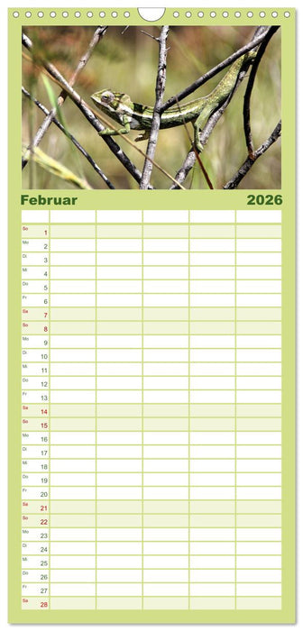 Tiere Madagaskars (CALVENDO Familienplaner 2026)