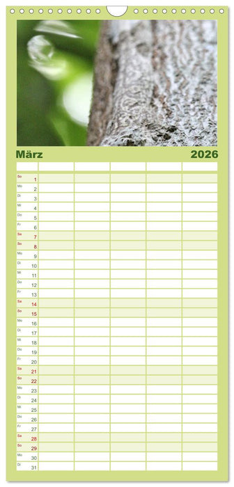 Tiere Madagaskars (CALVENDO Familienplaner 2026)