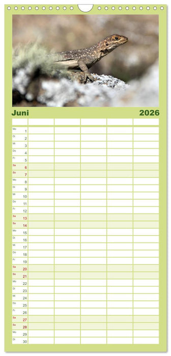 Tiere Madagaskars (CALVENDO Familienplaner 2026)