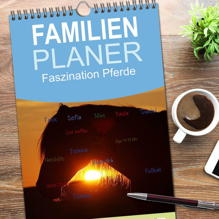 Faszination Pferde (CALVENDO Familienplaner 2026)