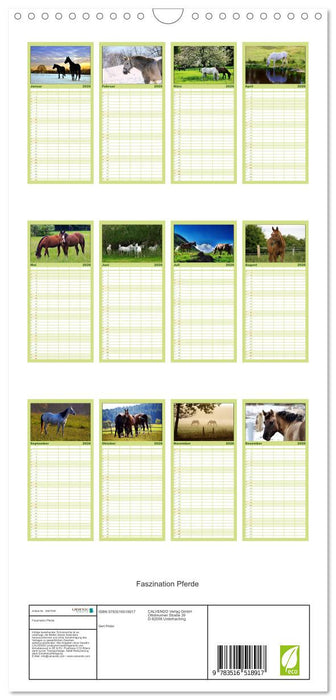 Faszination Pferde (CALVENDO Familienplaner 2026)
