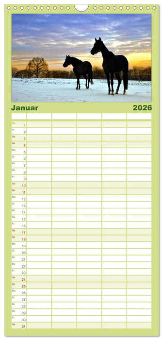 Faszination Pferde (CALVENDO Familienplaner 2026)