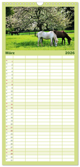 Faszination Pferde (CALVENDO Familienplaner 2026)