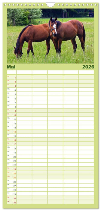 Faszination Pferde (CALVENDO Familienplaner 2026)