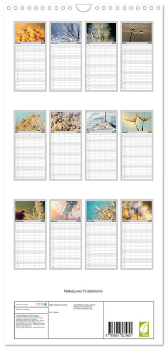 Naturjuwel Pusteblume (CALVENDO Familienplaner 2026)