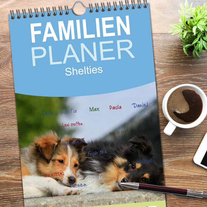 Shelties 2026 (CALVENDO Familienplaner 2026)
