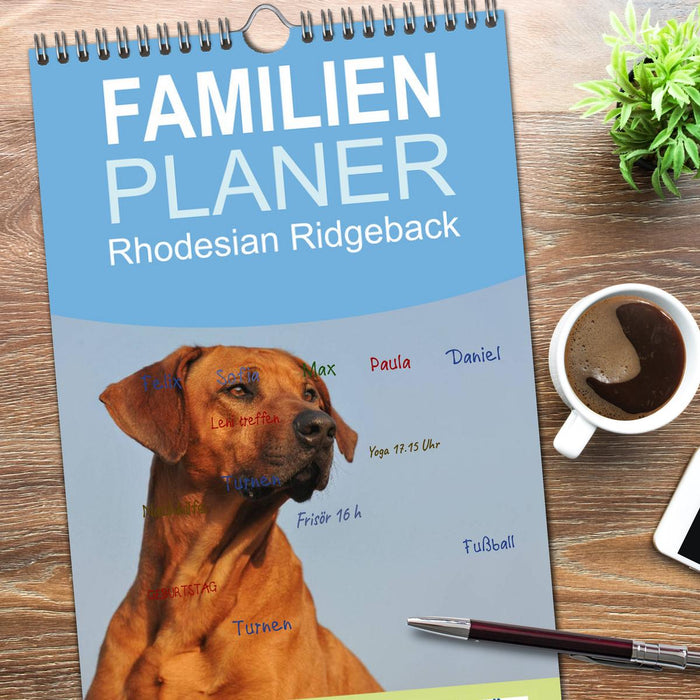 Rhodesian Ridgeback 2026 (CALVENDO Familienplaner 2026)