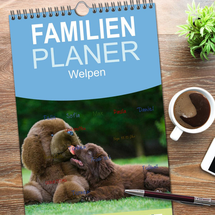Welpen 2026 (CALVENDO Familienplaner 2026)