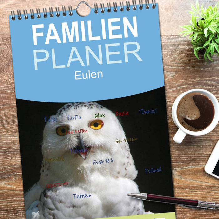 Eulen (CALVENDO Familienplaner 2026)