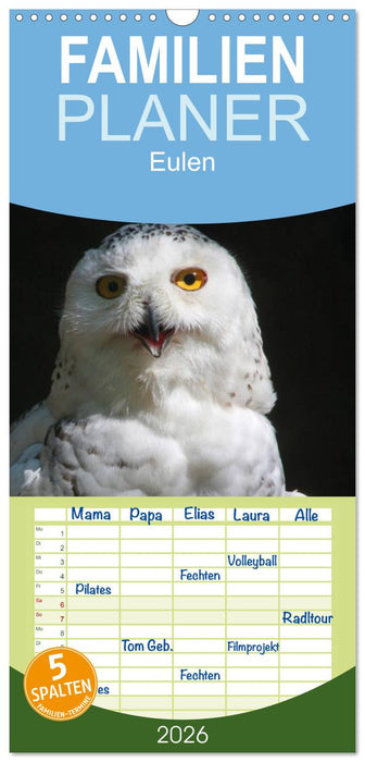 Eulen (CALVENDO Familienplaner 2026)