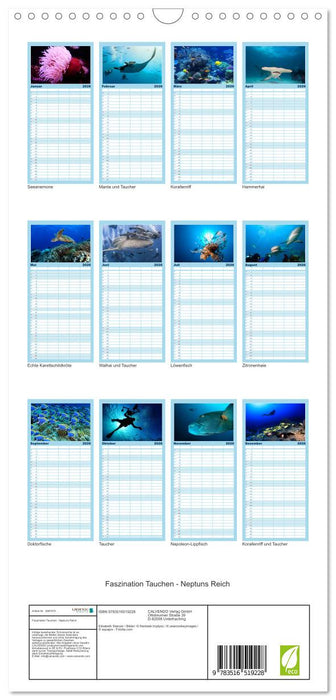 Faszination Tauchen - Neptuns Reich (CALVENDO Familienplaner 2026)