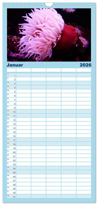 Faszination Tauchen - Neptuns Reich (CALVENDO Familienplaner 2026)