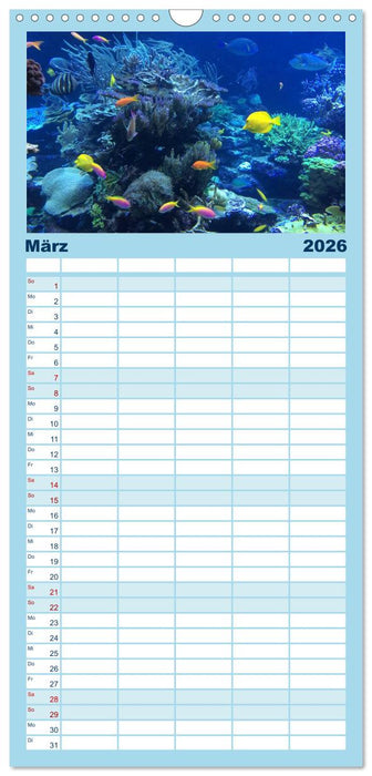 Faszination Tauchen - Neptuns Reich (CALVENDO Familienplaner 2026)