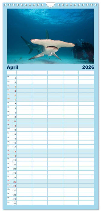 Faszination Tauchen - Neptuns Reich (CALVENDO Familienplaner 2026)