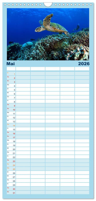 Faszination Tauchen - Neptuns Reich (CALVENDO Familienplaner 2026)