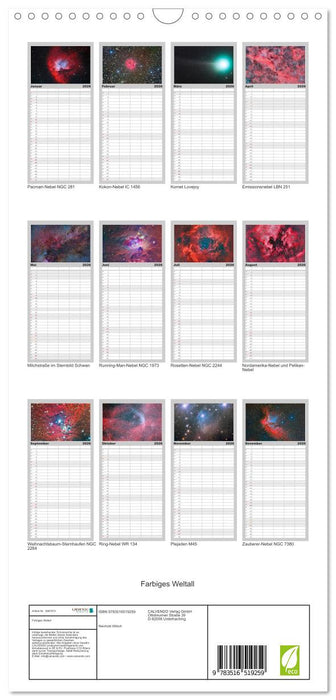 Farbiges Weltall (CALVENDO Familienplaner 2026)