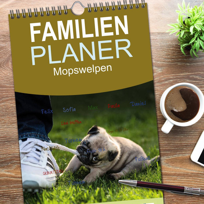 Mopswelpen (CALVENDO Familienplaner 2026)