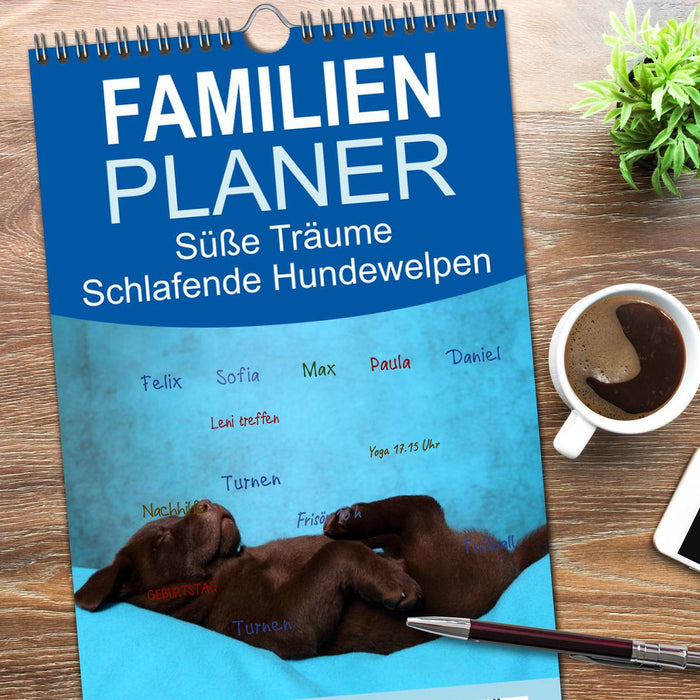 Süße Träume 2026 - schlafende Hundewelpen (CALVENDO Familienplaner 2026)