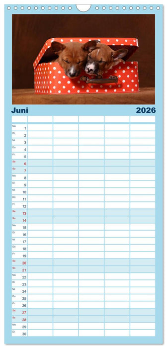 Süße Träume 2026 - schlafende Hundewelpen (CALVENDO Familienplaner 2026)