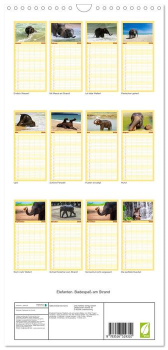 Elefanten. Badespaß am Strand (CALVENDO Familienplaner 2026)