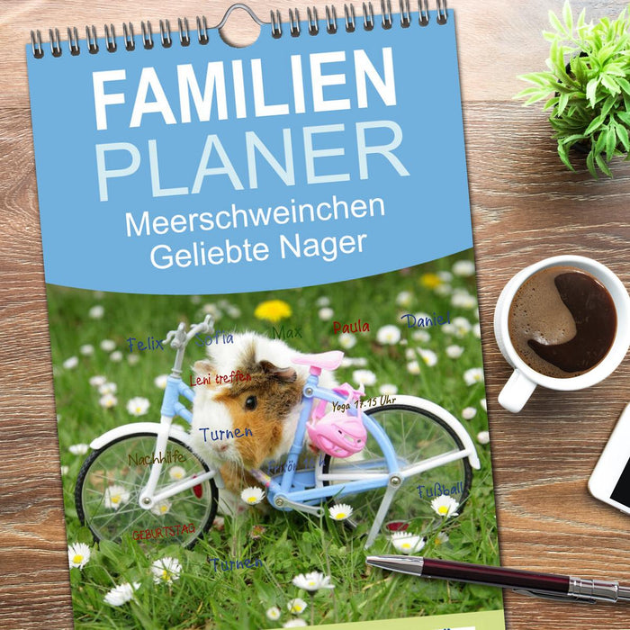 Meerschweinchen. Geliebte Nager (CALVENDO Familienplaner 2026)