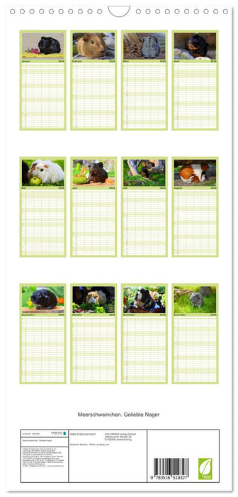 Meerschweinchen. Geliebte Nager (CALVENDO Familienplaner 2026)