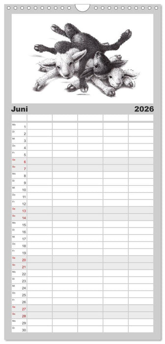 TIERONISCH (CALVENDO Familienplaner 2026)